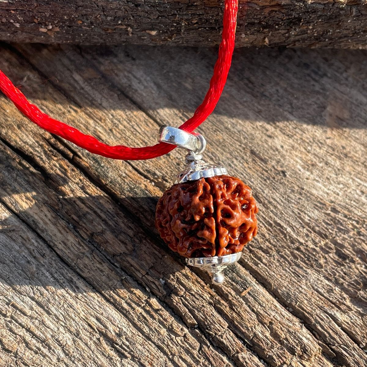 1–21 Mukhi Rudraksha